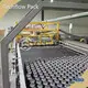 Customizedbottle Depalletizer Techflow Pack Company 1