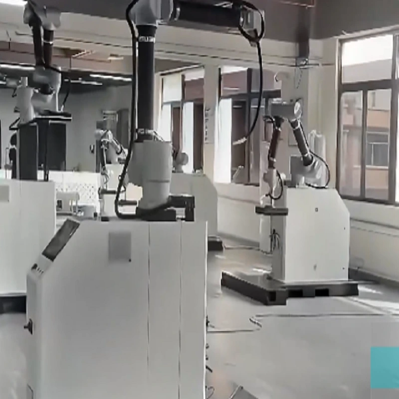 Nhà sản xuất gói Techflow Robot xếp hàng tự động 7