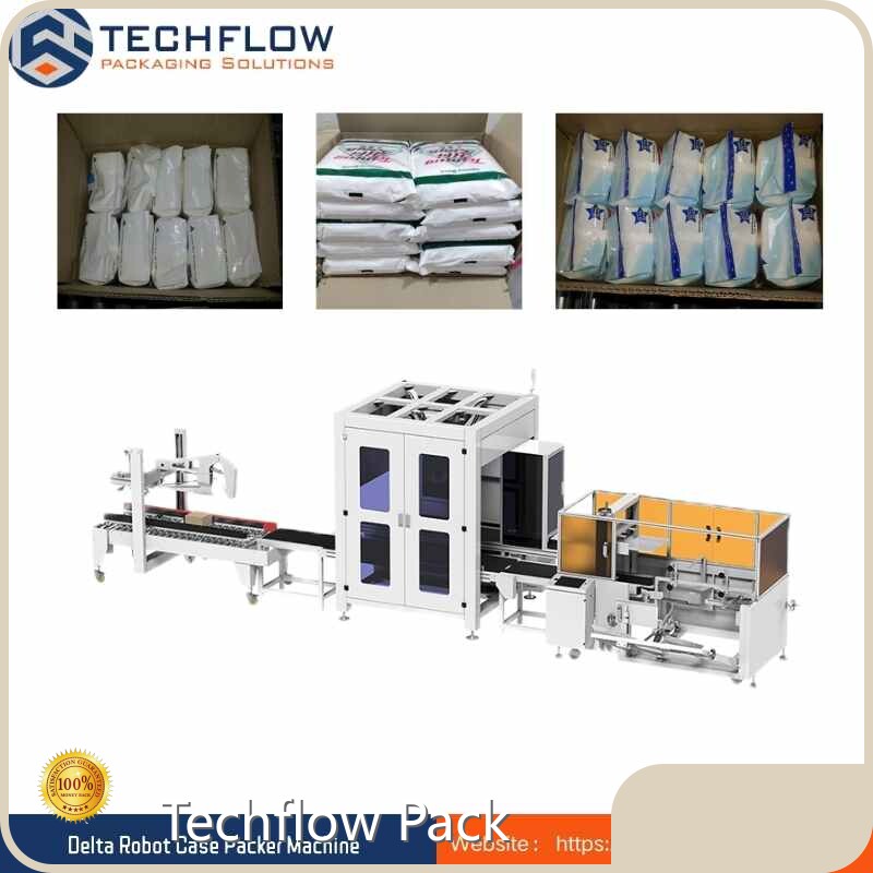Производители упаковочного оборудования на заказ Techflow Pack 1