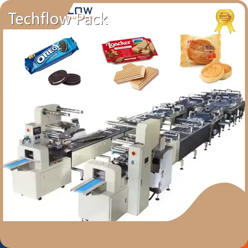 Fournisseur de machines d'emballage personnalisées Marque Techflow Pack 1
