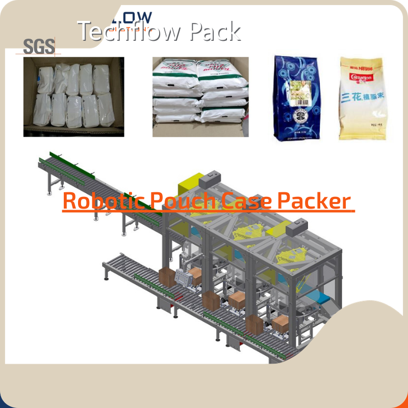 Automatic Packing Machine Techflow Pack Company-1 1