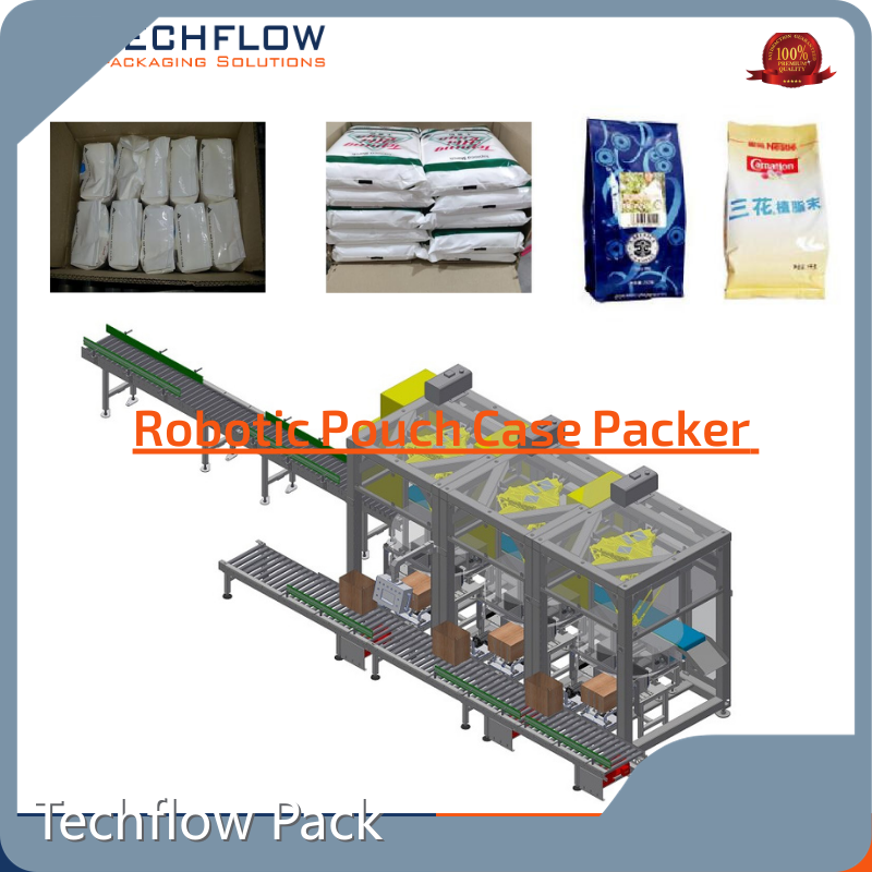 Techflow Pack Automatic Packing Machine Factory 1