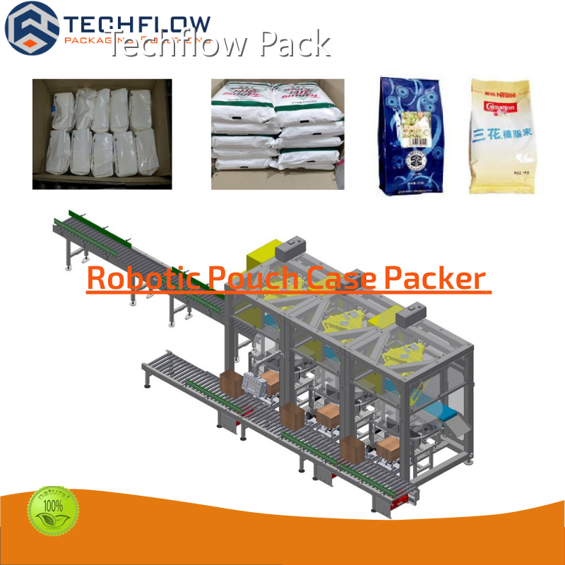 Fornecedor de fornecedores de empacotadores de caixas Techflow Pack 1