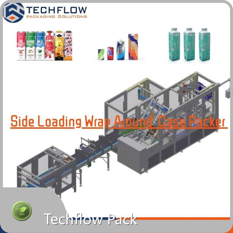 Techflow Pack Wrap Around Case Packer Factory 1
