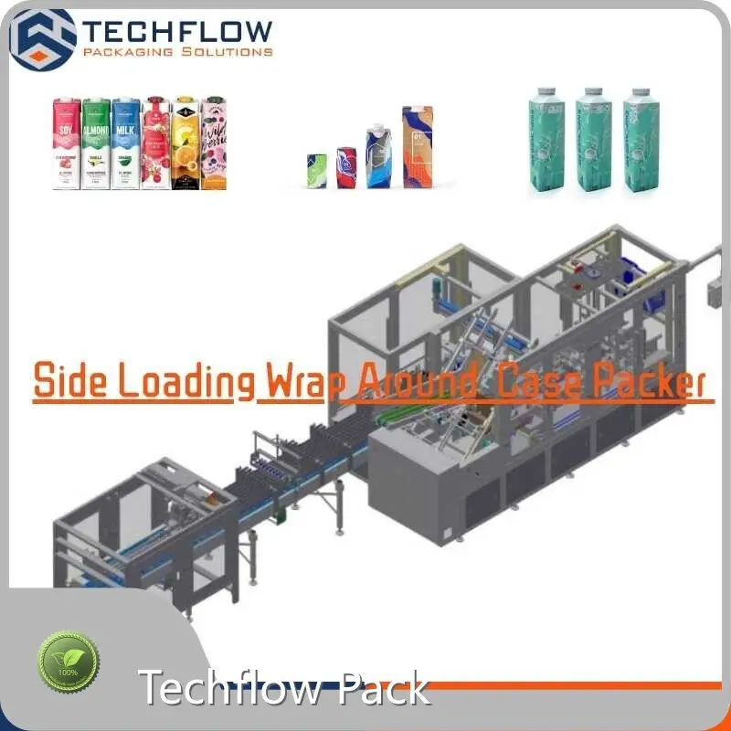 Techflow Pack Wrap Around Case Packer Factory 1
