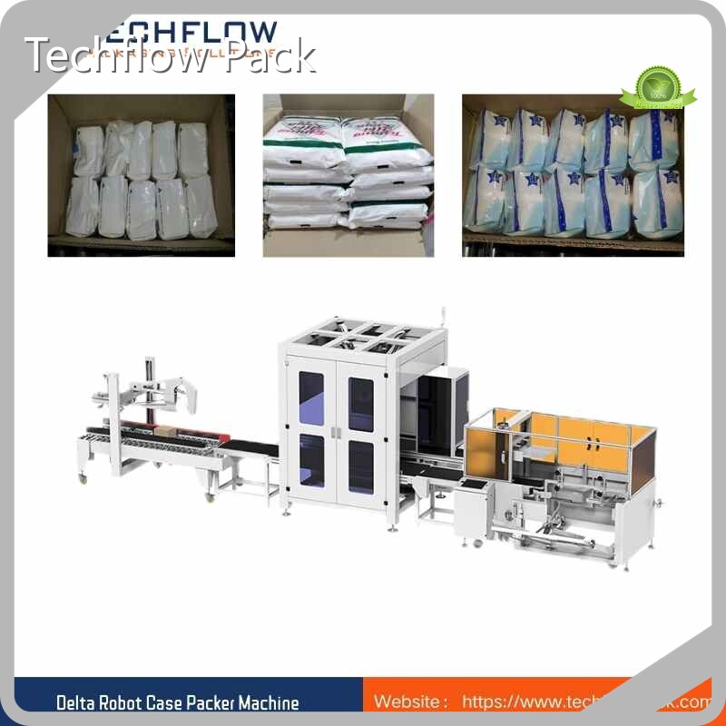 ต้นทุนซัพพลายเออร์ของ Case Packer 1