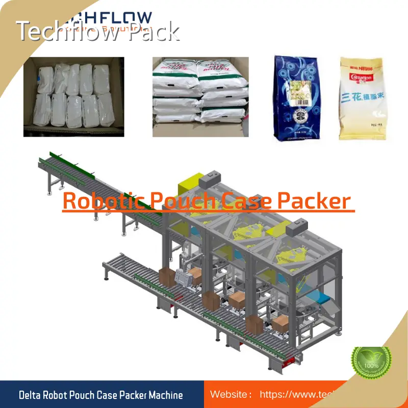 Упаковщик коробок на заказ Компания Case Packer 1