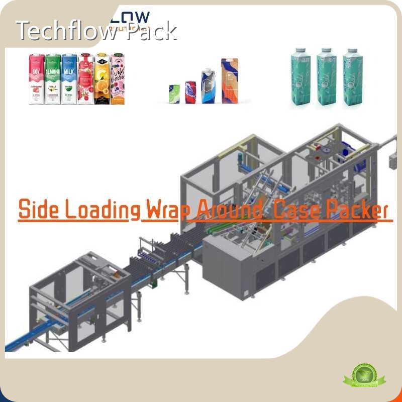 Nhà cung cấp máy đóng gói của Techflow Pack-4 1