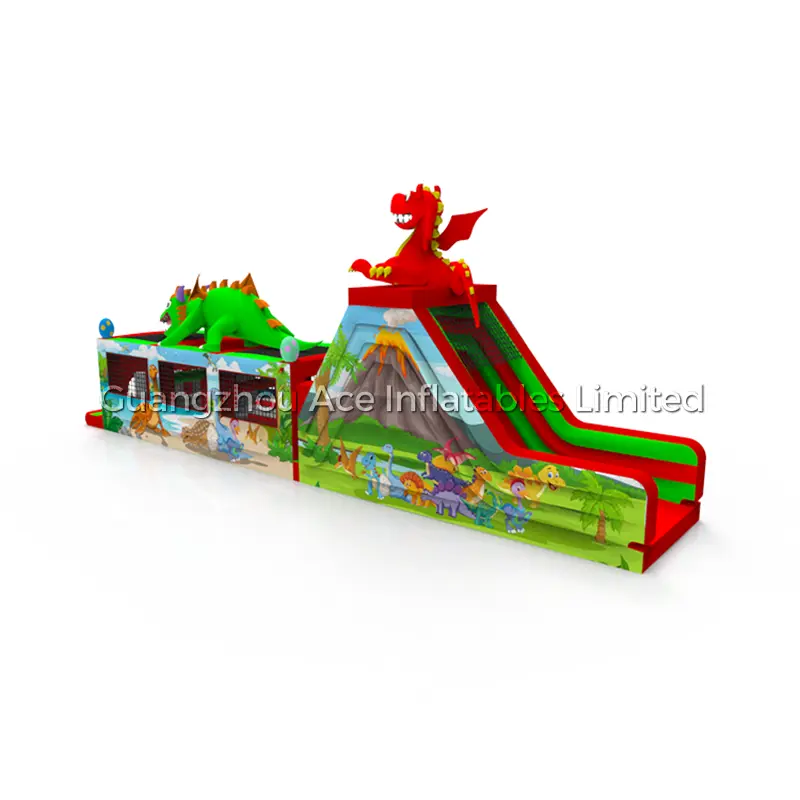 Custom Made Inflatables B23-25 by Ace 5
