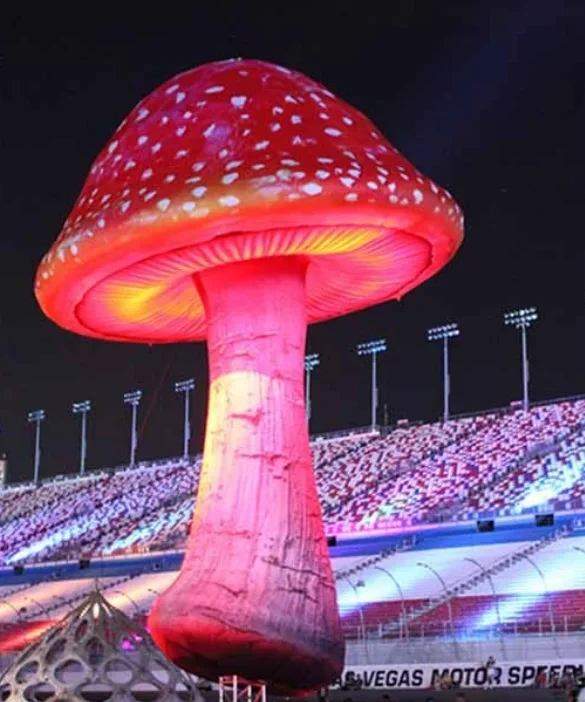Decorative Led Lighting Colorful Giant Inflatable Mushroom Model For Outdoor Lawn Decoration 1