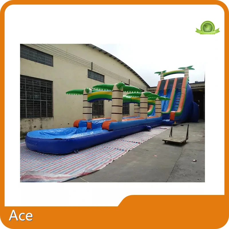 Outdoor Long Palm Tree Dual Lanes Inflatable Water Slide For Sale 1