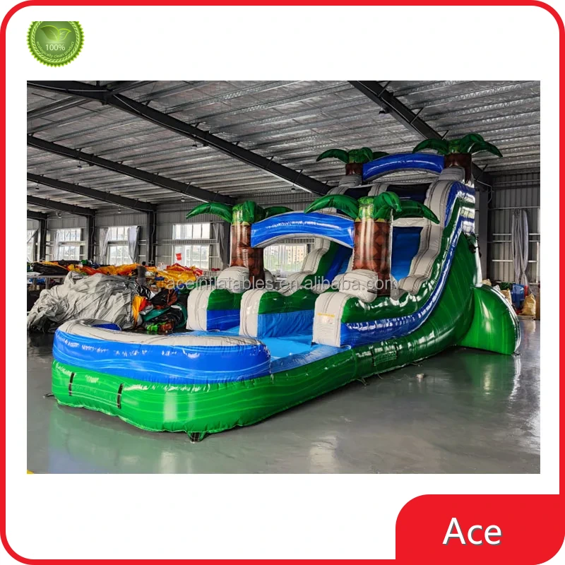 Kids Adults Commercial Outdoor Tropical Breeze 15ft Waterslides Backyard Palm Tree Inflatable Water Slides With Pool For Sale 1