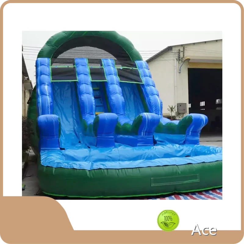 Commercial Customized Double Line Inflatable Water Slides For Sale 1