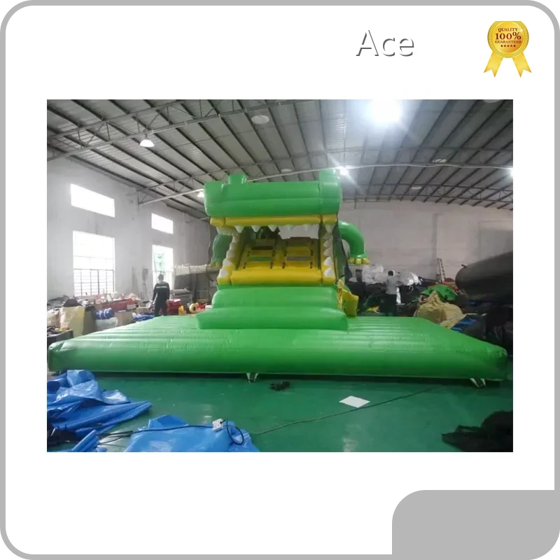 Inflatable Crocodile Slide With Movable Mouth For Sale 1