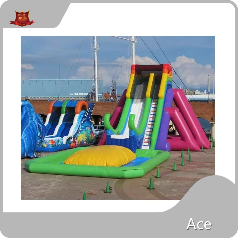 Guangzhou Ace Inflatables Ltd. Inflatable Game Inflatable Castle Slide For Sale 1