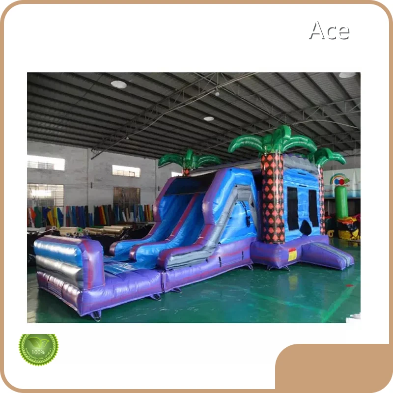 Tropical Palm Tree Two Lanes Wet Dry Inflatable Combo Bounce For Sale 1