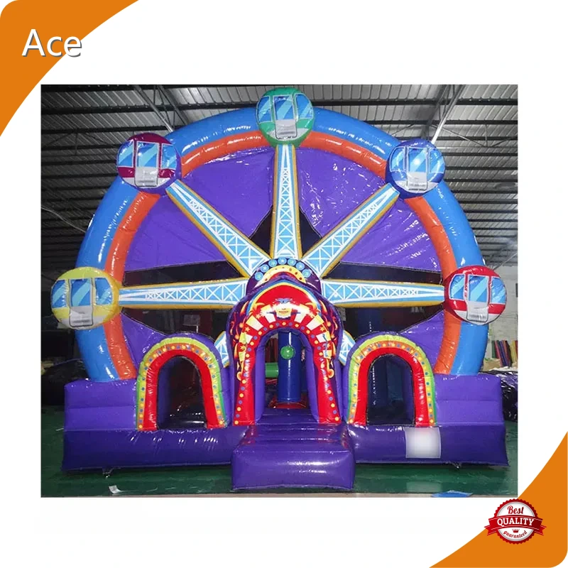 Commercial Ferris Wheel Inflatable Jumping Bouncy Castle Combo For Kids 1
