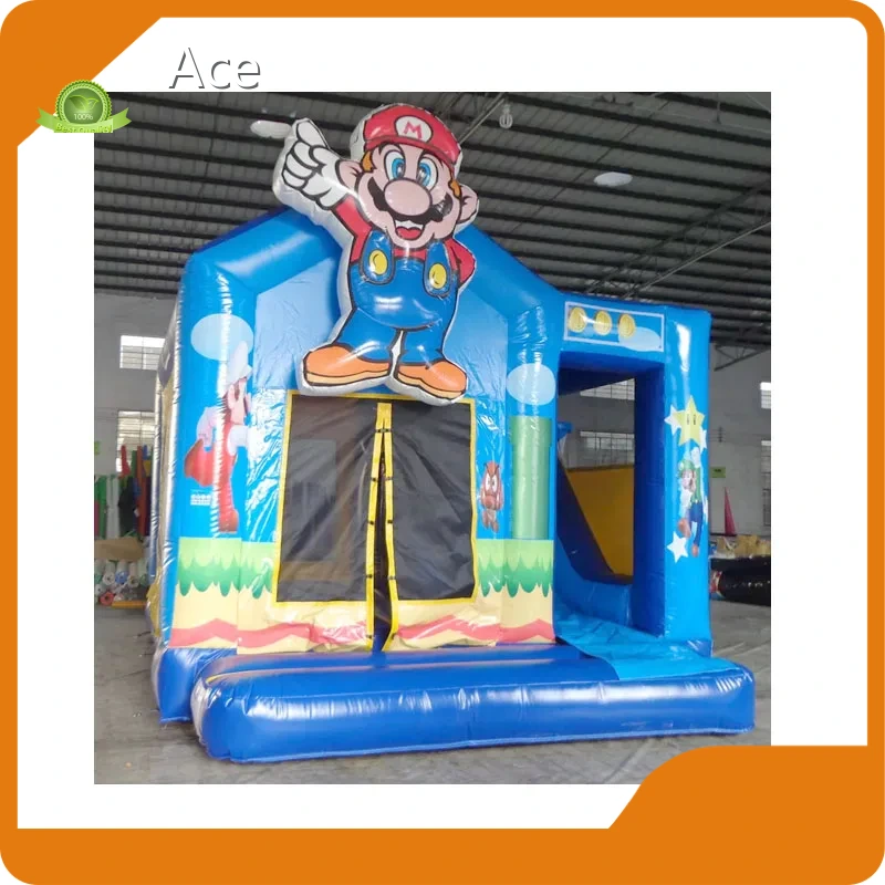 Commercial Mario Inflatable Bouncy Castle Slides For Sale 1