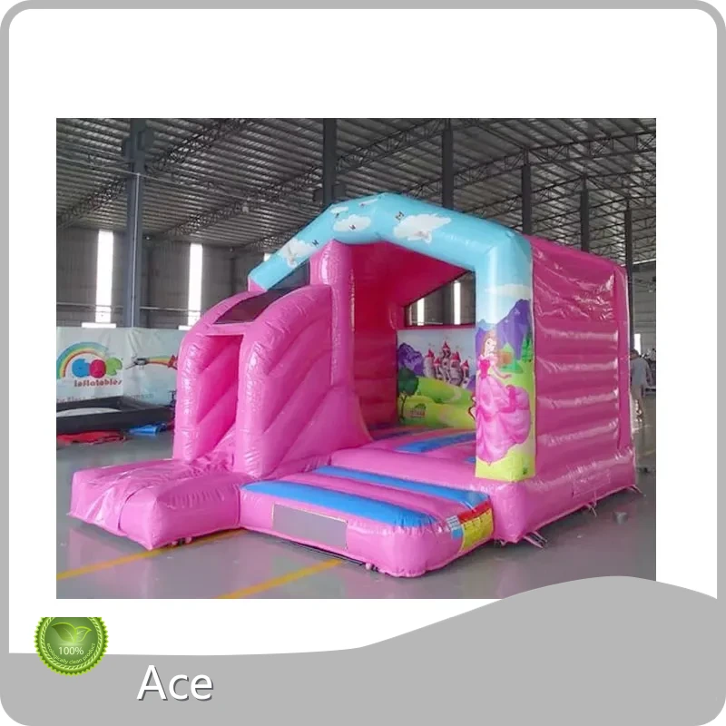 Commercial Inflables-y-brincolin Inflatable Combo With Slide Princess Theme Inflatable Jumping Castle Inflatable Bouncy Castle 1
