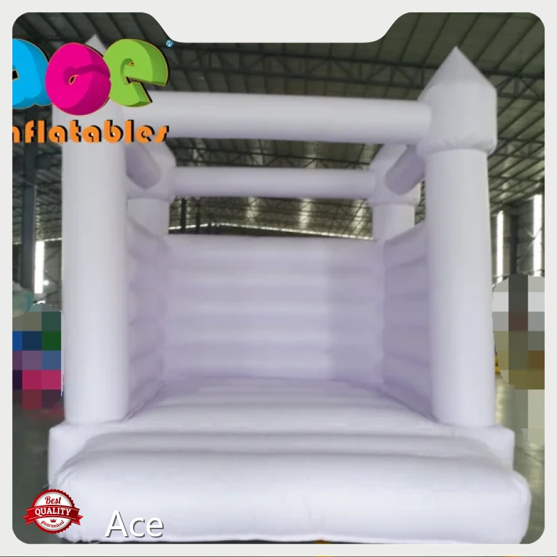 Fast Shipping Commercial Toddler Pastel Purple Bouncy Castle Inflatable Bouncy Castle 1