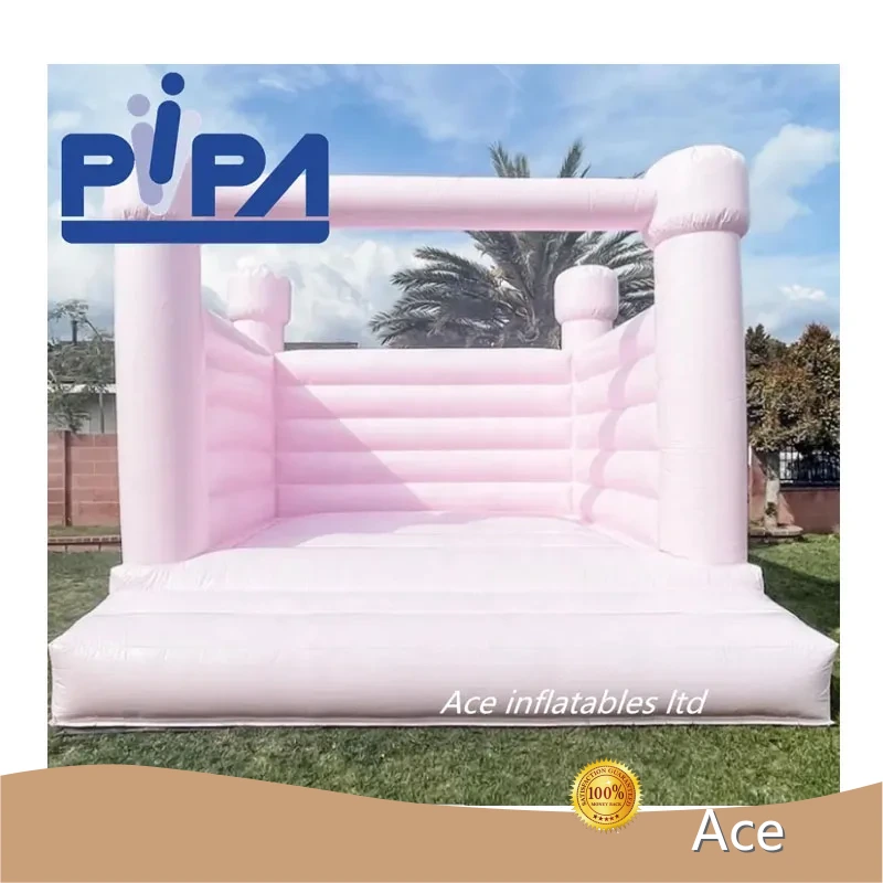Commercial Custom Color Light Pink Taro Lemon Drop Peach Mint Frost Bubble Gum Bouncy Castle Pastel Bounce House For Sale 1