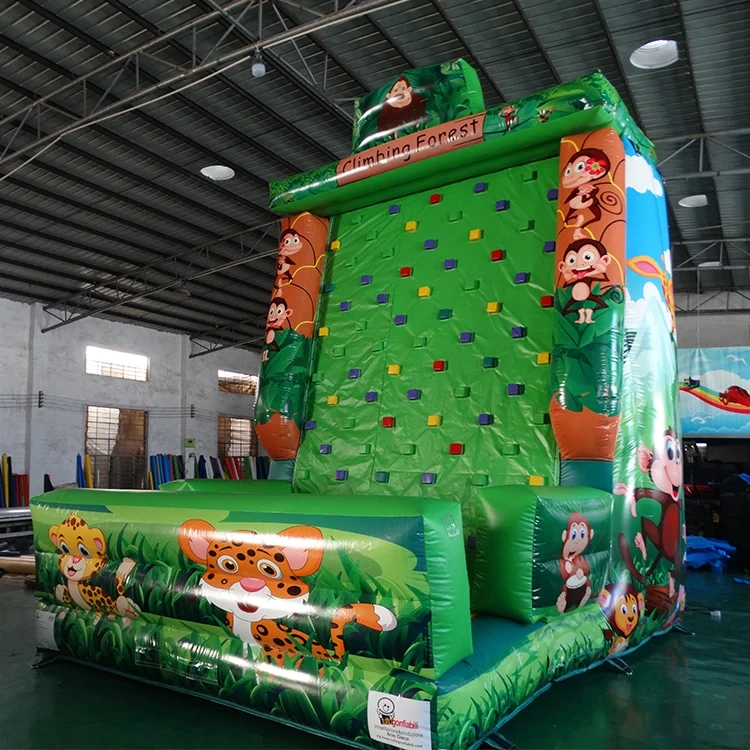 Commercial Grade Kids And Adults Outdoor Inflatable Rock Climbing Wall For Sale 1