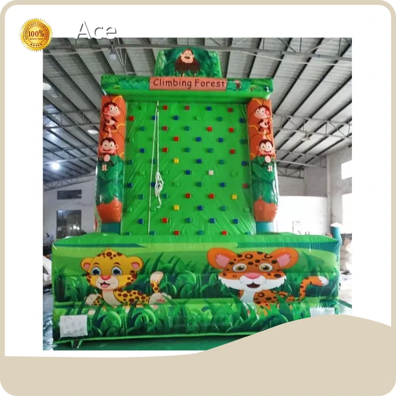 En14960 Certificate Popular Guangzhou Commercial Inflatable Playgrounds Rock Climbing Wall Sport For Sale 1