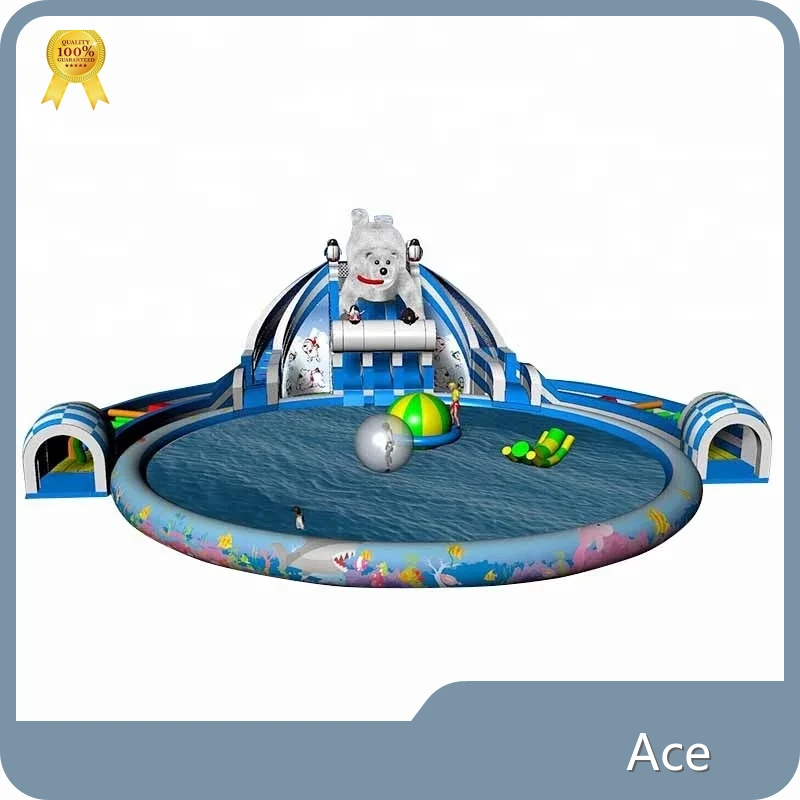Commercial Inflatable Water Park For Sale (can Put Small Item) 1