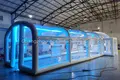 Custom Inflatable Tent Air Pump - - Ace 3