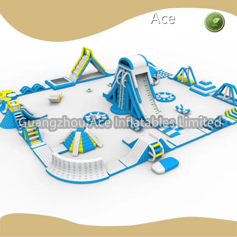 Inflatable Water Slide and Bounce House B22-13 Ace Company 1