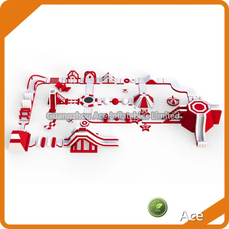 OEM Inflatable World Price Ace Air Pump 1