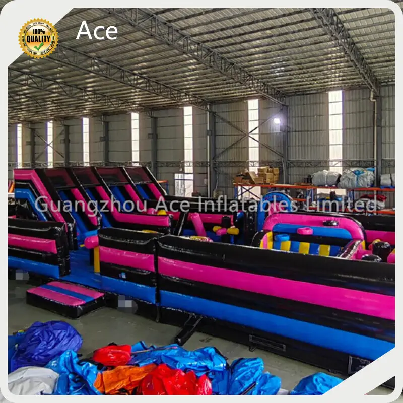 Inflatable Theme Park Manufacturer ACE-240324 - - Ace 1