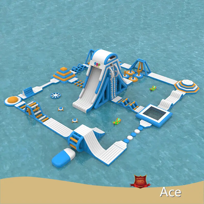 Bounce House Inflatable Water Slide by Ace 1