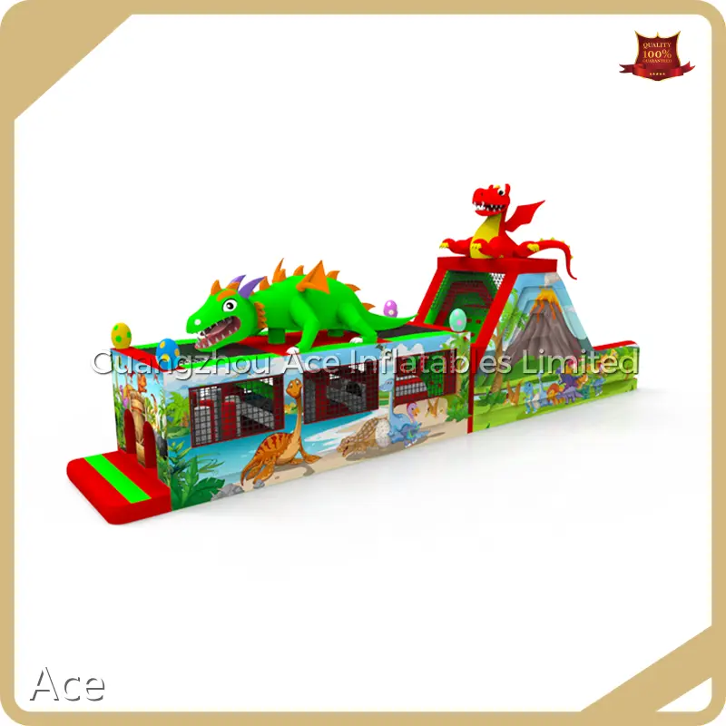 Custom Made Inflatables B23-25 by Ace 1