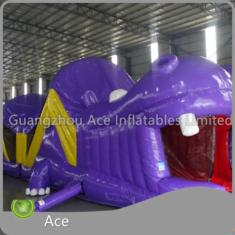 Inflatable Obstacle Course Water Slide ACE-220927-2 - - Ace 1