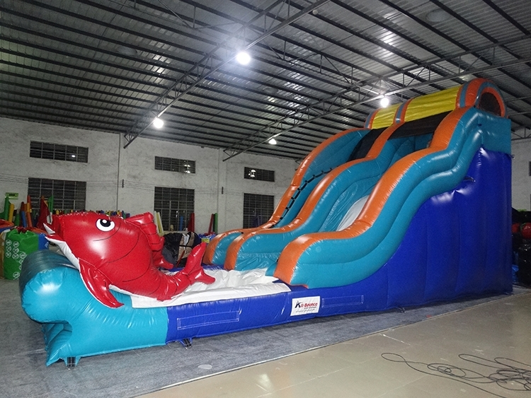 17' golden fish single lane 1