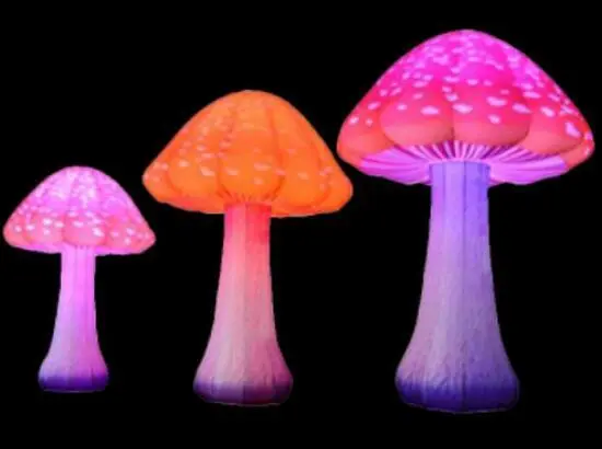 Inflatable Mushroom 1