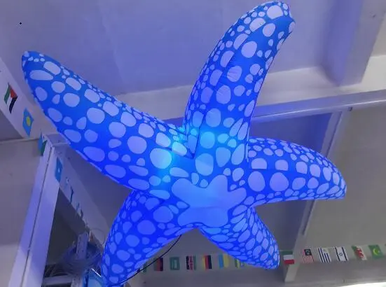 Inflatable Starfish 1