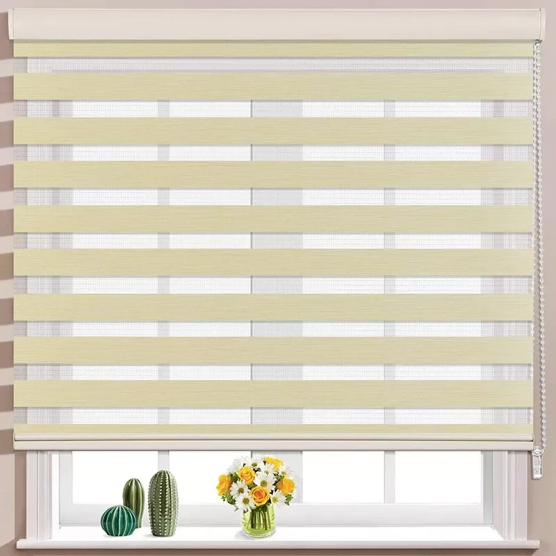 Waterproof Manual Roller Shades Window Curtains Roller Shades 100% Polyester Fabric 1