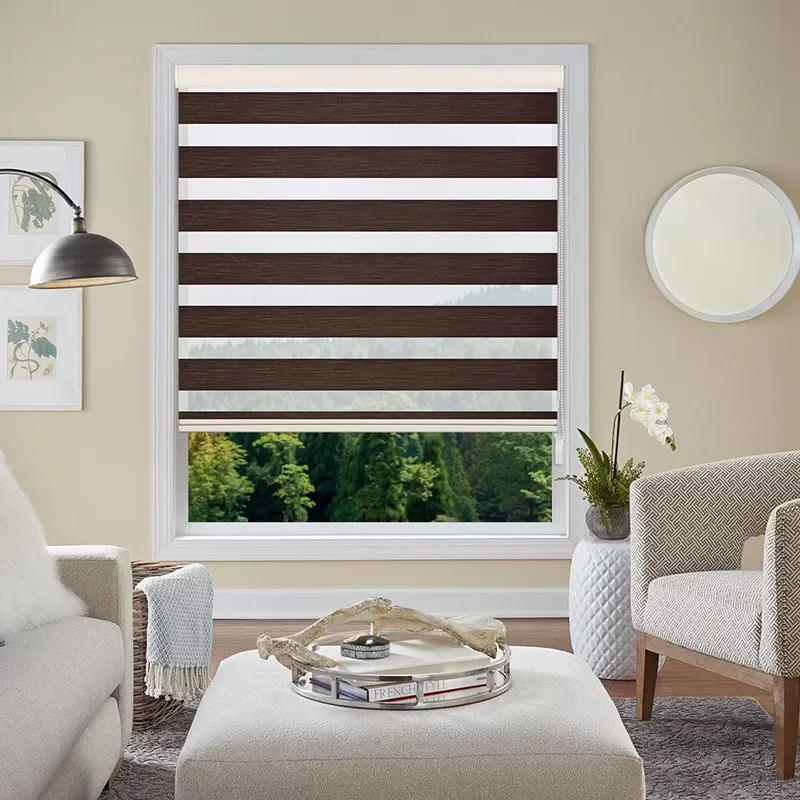 Radiation Protection Manual Roller Blind Curtain Zebra Window Blinds Customized Size 1