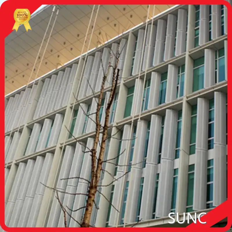 Custom Motorized Roller Blinds D/a SUNC 1