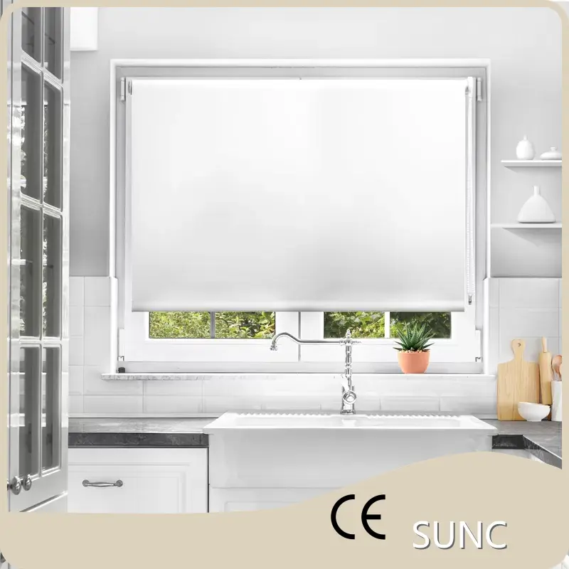 Bulk Buy Dual Roller Shades Motorized 10 Square Meters Company 1