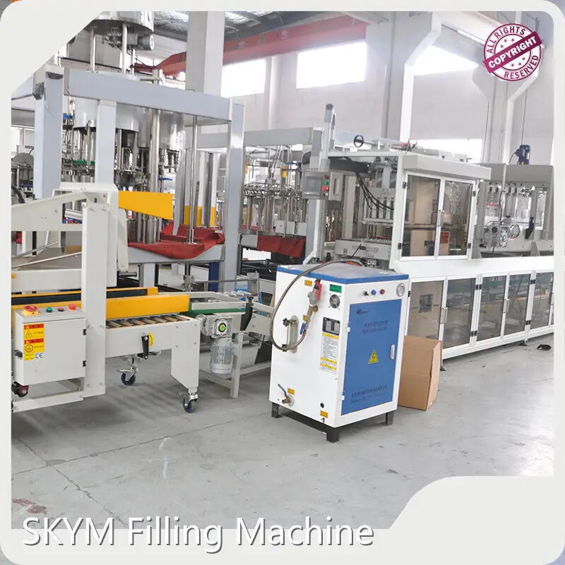 Best Bottle Cartoning Machine Automatic Vendor 1