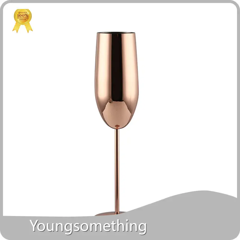 حار الجملة البهلوانات النبيذ غير القابل للصدأ Youngsomething العلامة التجارية 1
