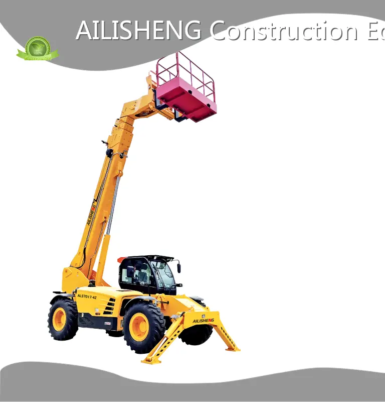 Mini Telescopic Forklift Price 1