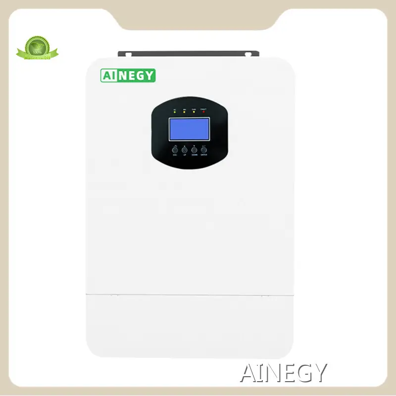 Professional Off Grid Solar Inverter with Battery From China 1