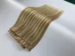 OEM Tape in Hair Extensions SC Hair Extensions 6