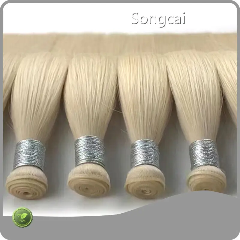 Best Price Remy Hair Suppliers Remy Hair Suppliers Company 1