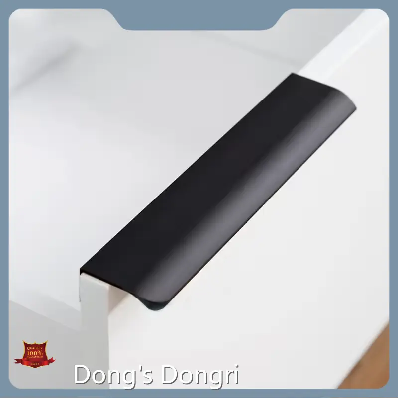 Dong's Dongri Brand Kitchen Aluminum Handle Profile Supplier 1