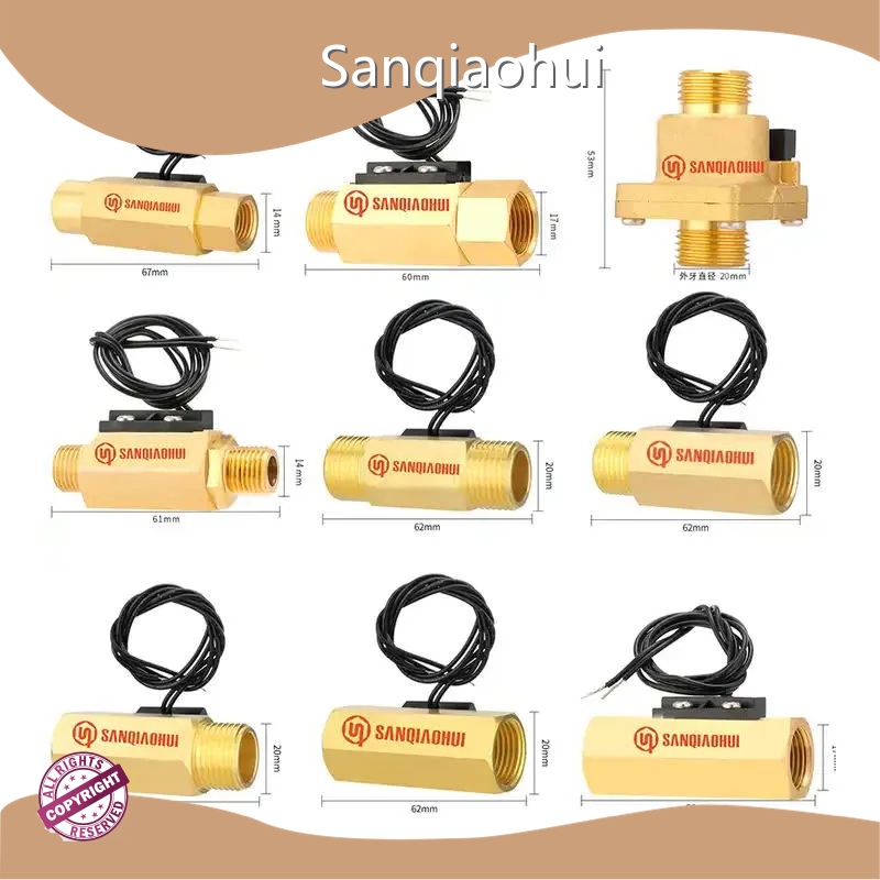 Custom Water Flow Sensor Switch SQH104 Brass Water Flow Switch G1 3/4 1/2 1/4 Sanqiaohui 1